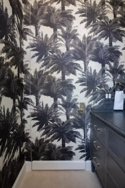 Invisible Door